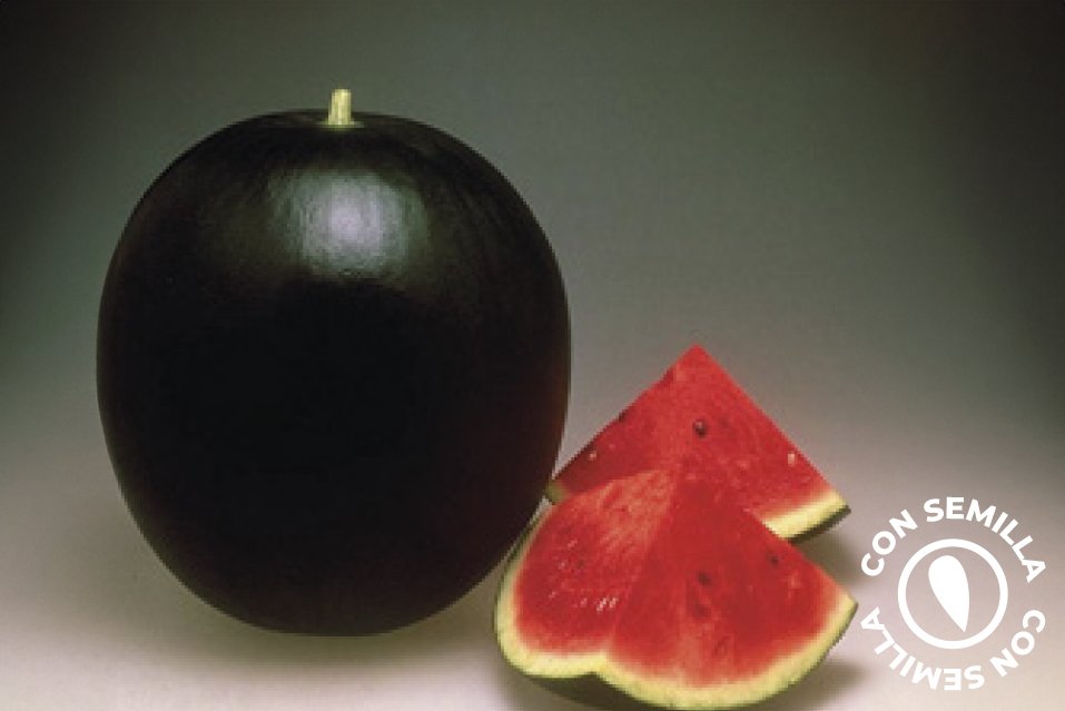 Sandia Negra