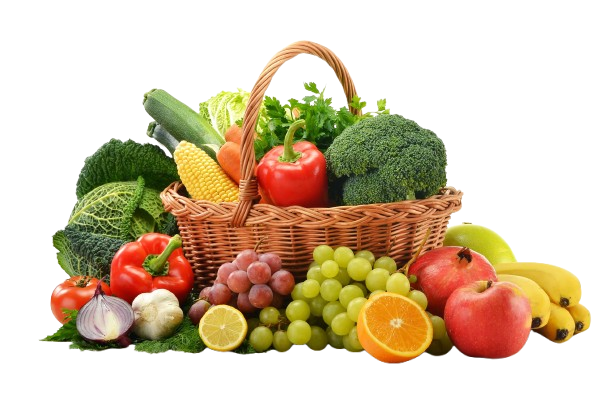 Fresh premium produce — El Árbol wholesale